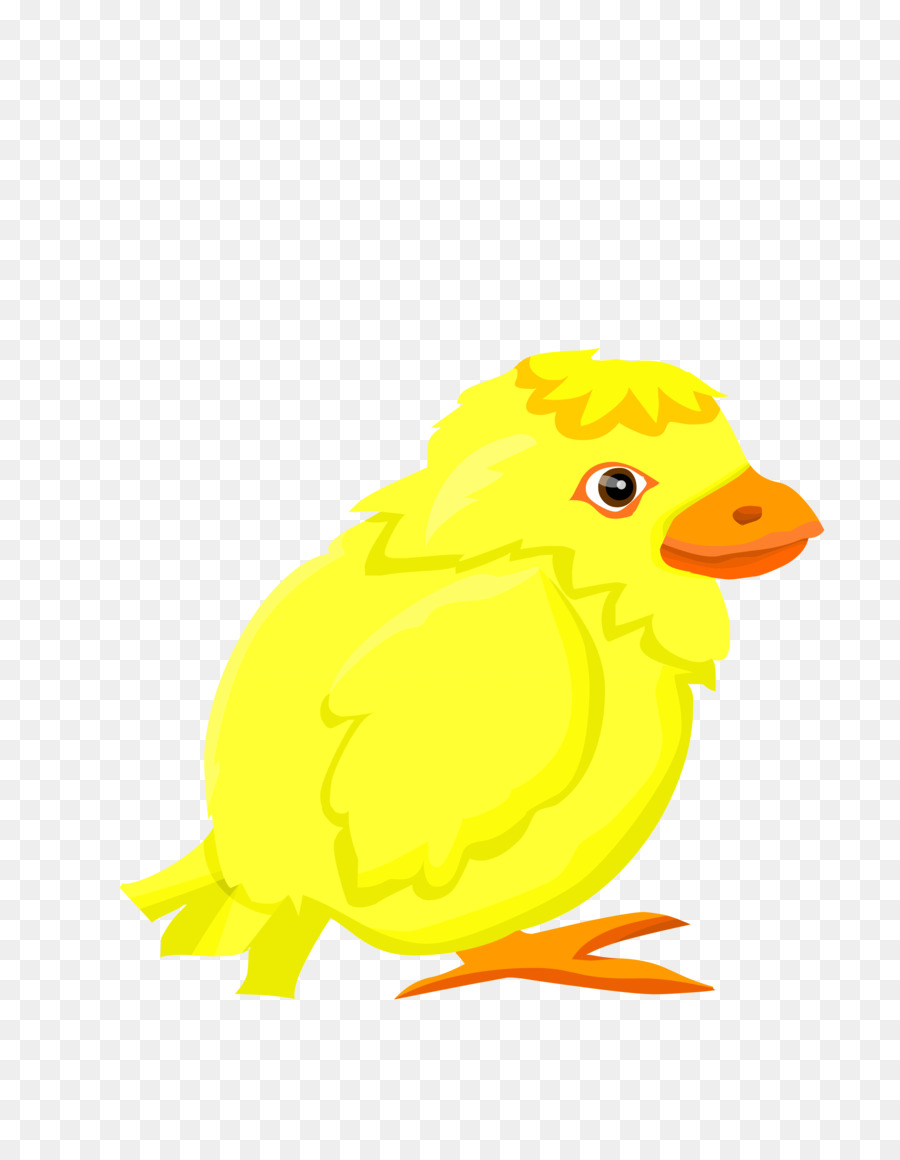 Ente Blase Huhn clipart - Vektor gelben Seite Gesicht Blase Küken