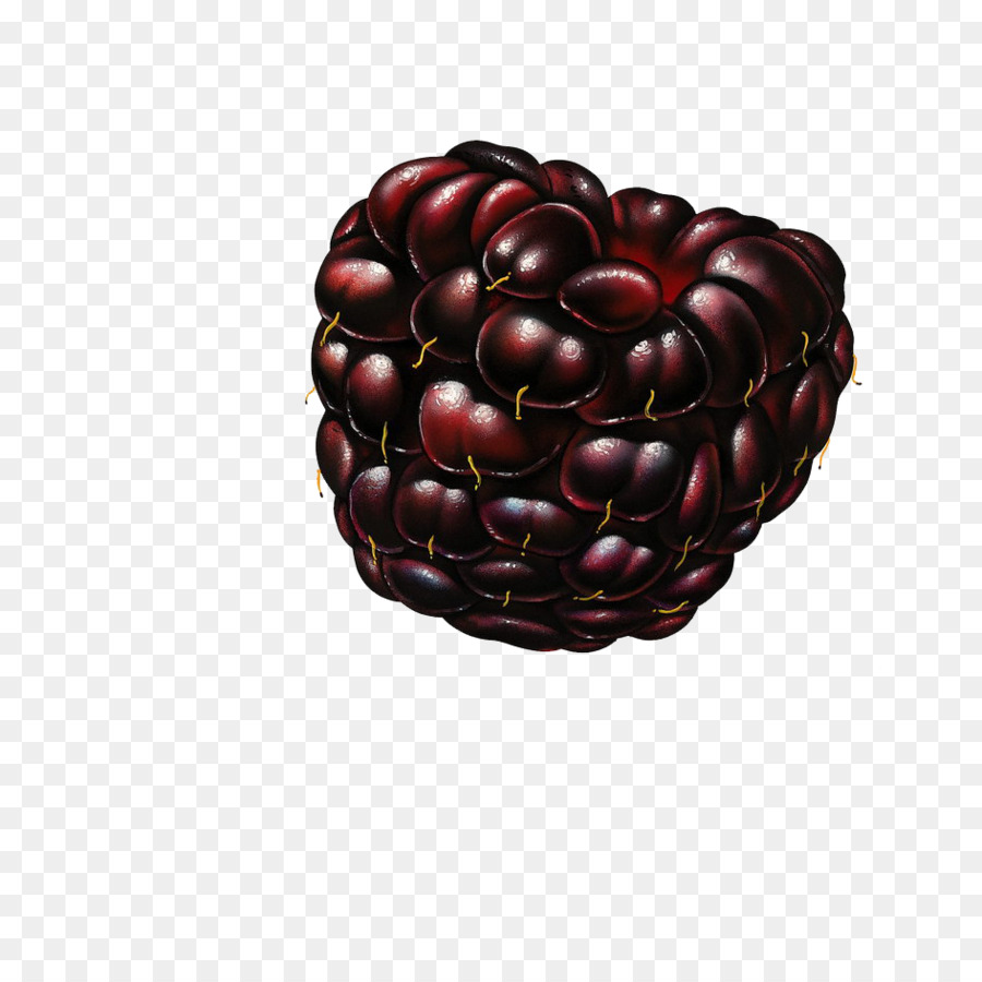 Obst Himbeere Brombeere Maulbeere - Granatapfel