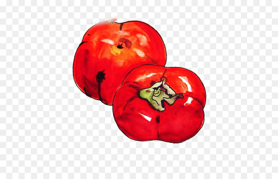 Tomaten Persimmon Download - persimmon