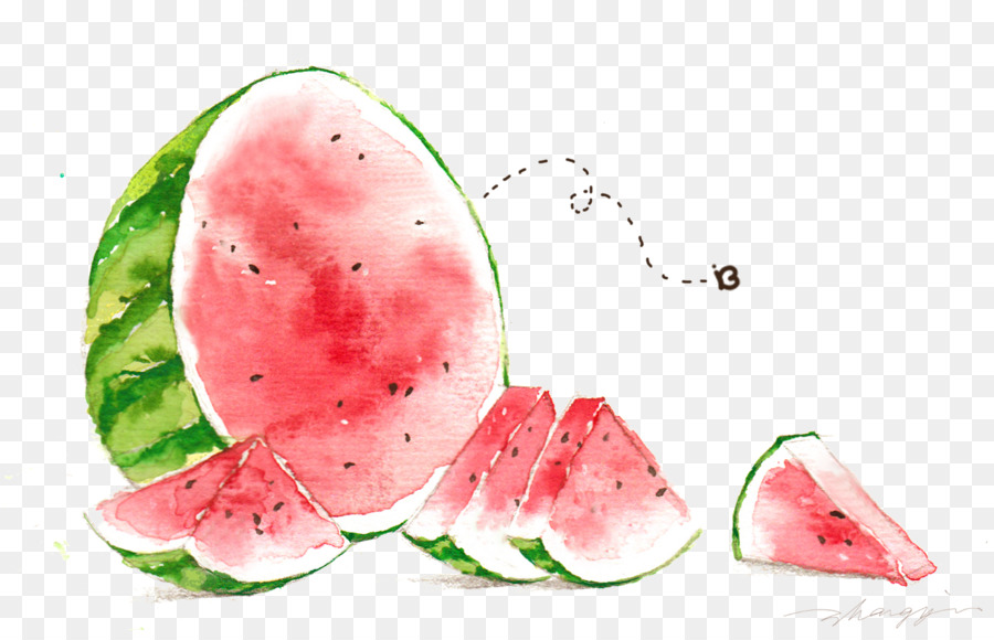 Wassermelone Aquarell Abbildung - Eine große Wassermelone