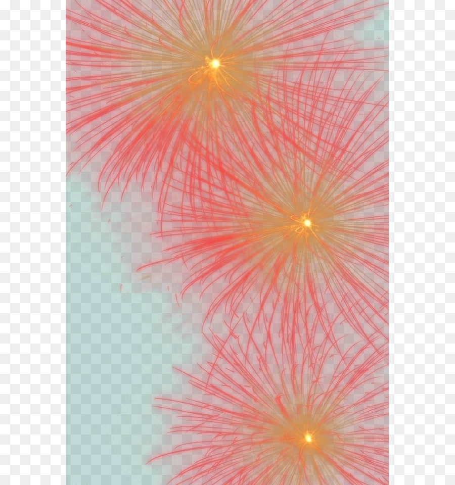 Licht Blütenblatt nahaufnahme, Symmetrie, Tapete - Feuerwerk