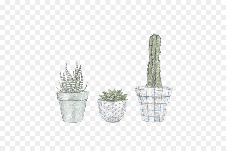 Cactaceae Illustrator-Zeichnung-Illustration - Von Hand bemalt, Kaktus