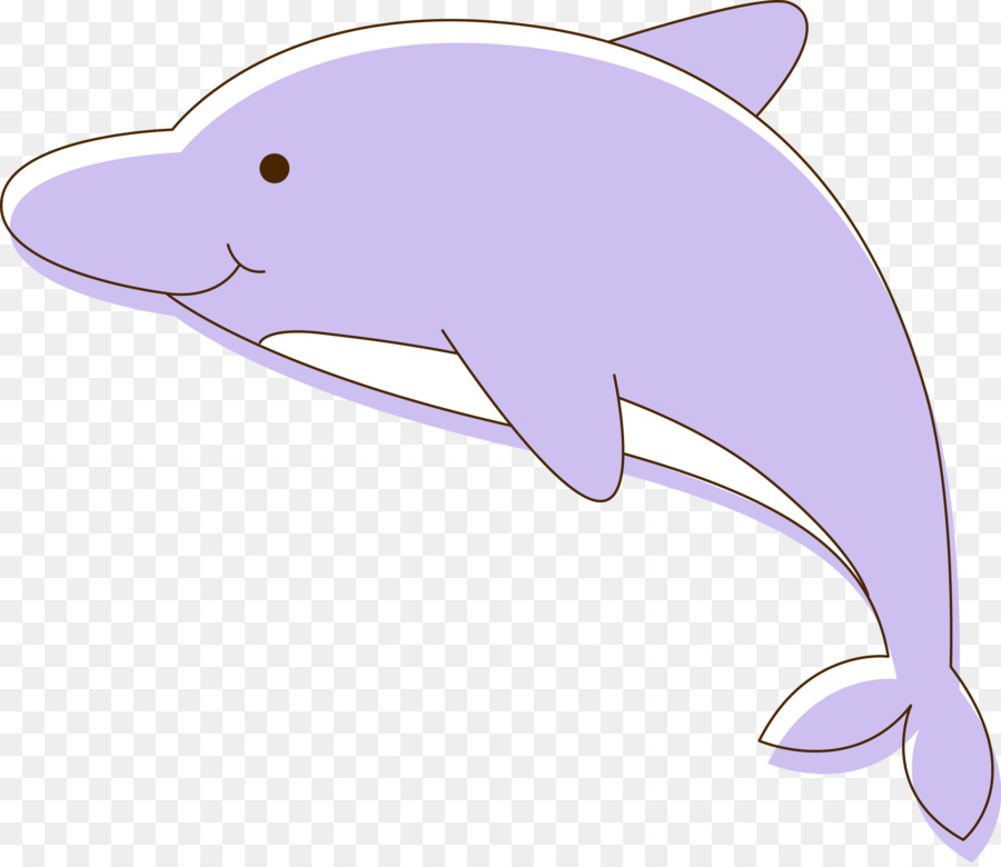 Tucuxi Common bottlenose dolphin Porpoise - Vektor-Delfine