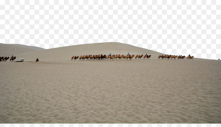 Il canto di Dune di sabbia di Erg - Crescent Lake in Dunhuang, Gansu quattro