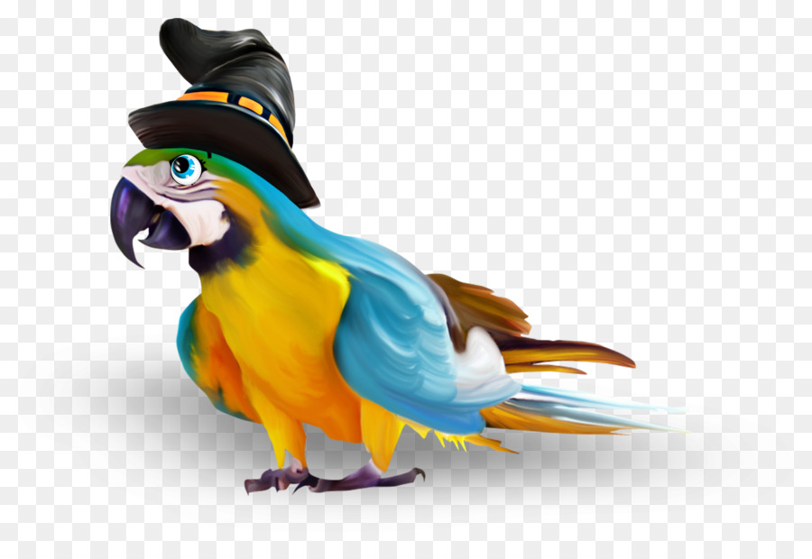 Papagei Halloween Perroquet Clip-art - Magische Papagei