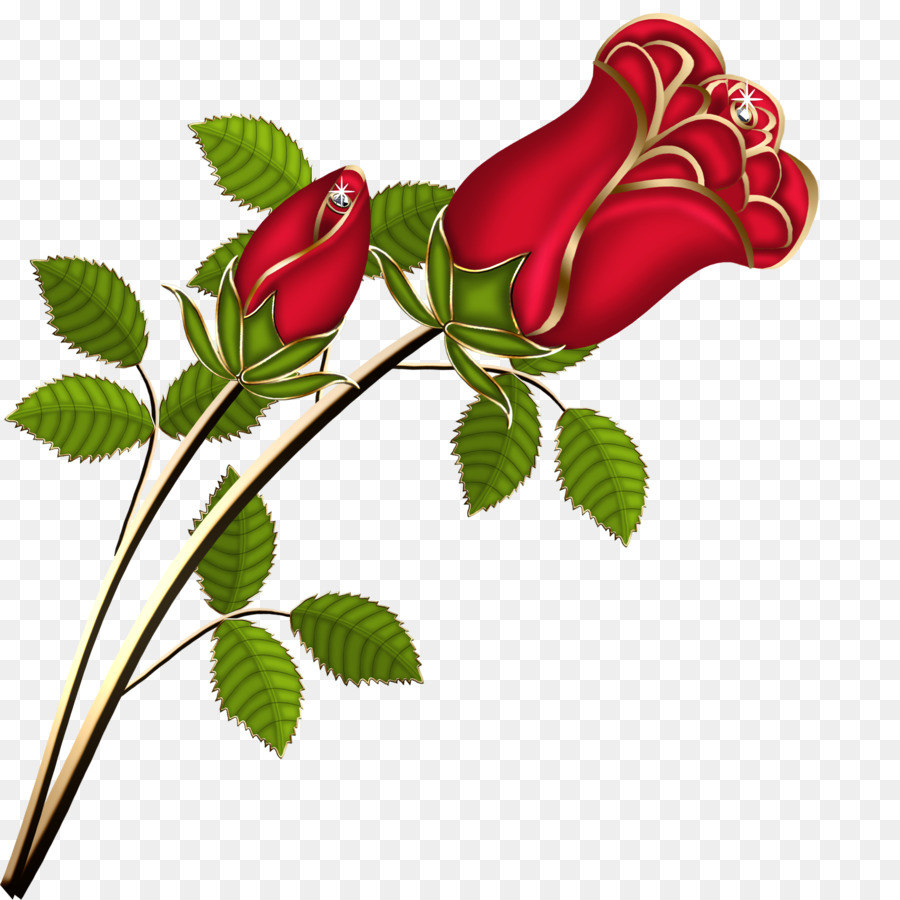 Hoa hồng màu Hồng tháng Hoa Clip nghệ thuật - Kim cương Rose vật liệu thiết kế