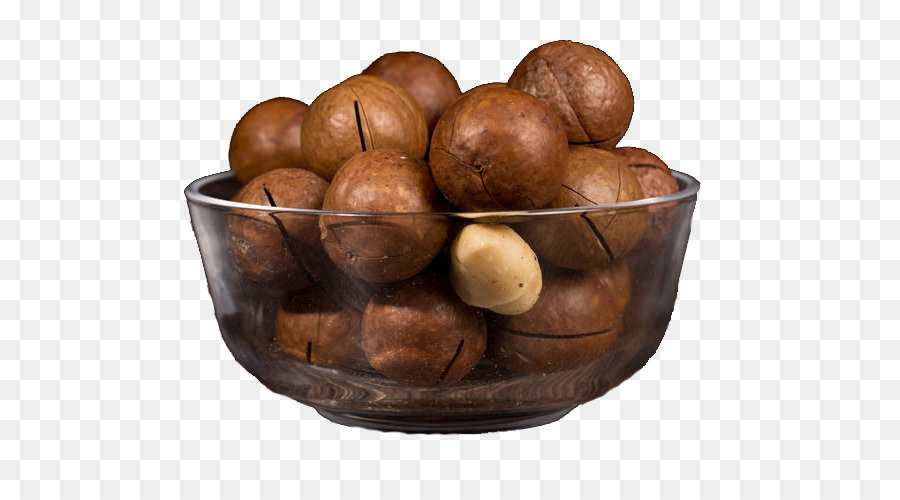 Mắc Hạt Úc món ăn hạt dẻ - Úc walnut