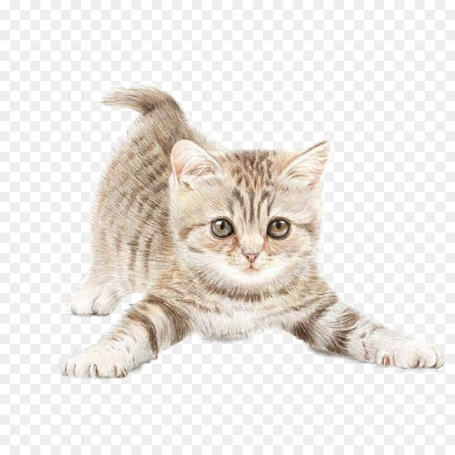 Mèo Màu nước sơn Vẽ Clip nghệ thuật - con mèo