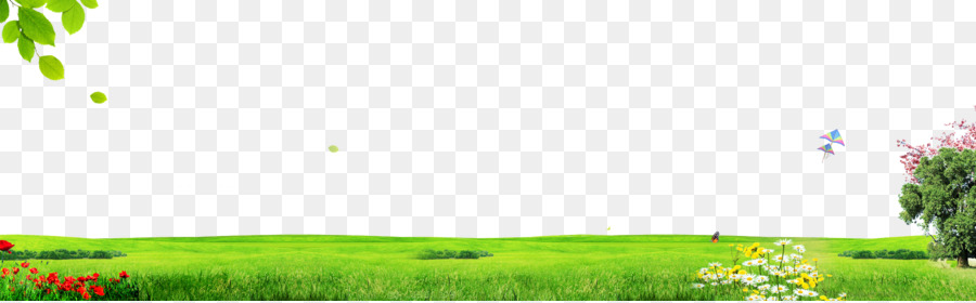 Green Grass Background png download - 1920*593 - Free Transparent Lawn png  Download. - CleanPNG / KissPNG