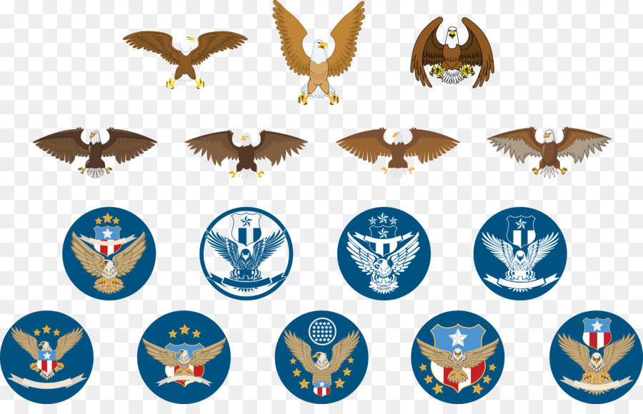 Uccello Di Pixabay Aquila Illustrazione - Tutti i tipi di vettore materiale Aquila