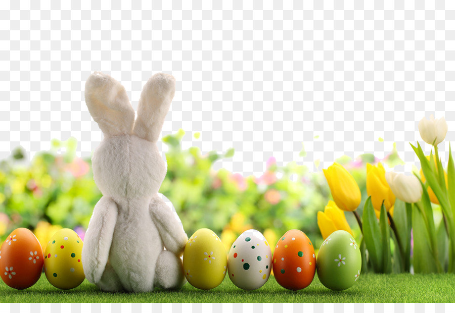 Easter Bunny Easter egg - Schöne Ostern Ei