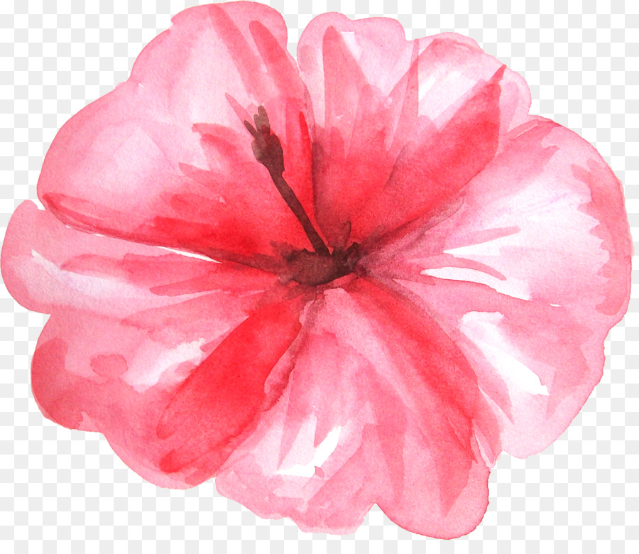 Màu nước sơn Clip nghệ thuật - Tươi nước nóng trồng hoa