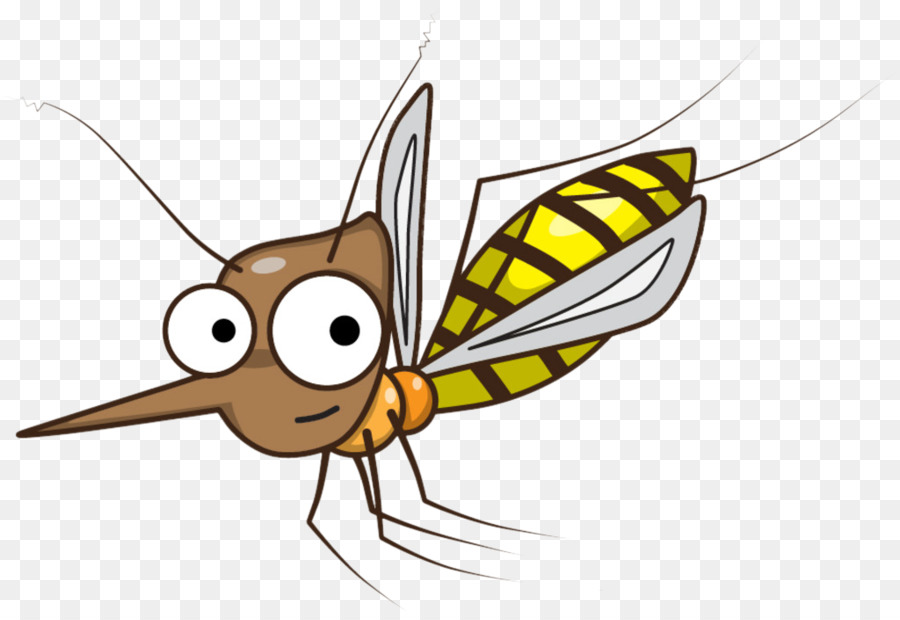 Ôm và Lỗi câu Lạc bộ Muỗi Côn trùng Vẽ Clip nghệ thuật  muỗi png tải về   Miễn phí trong suốt Mỏ png Tải về
