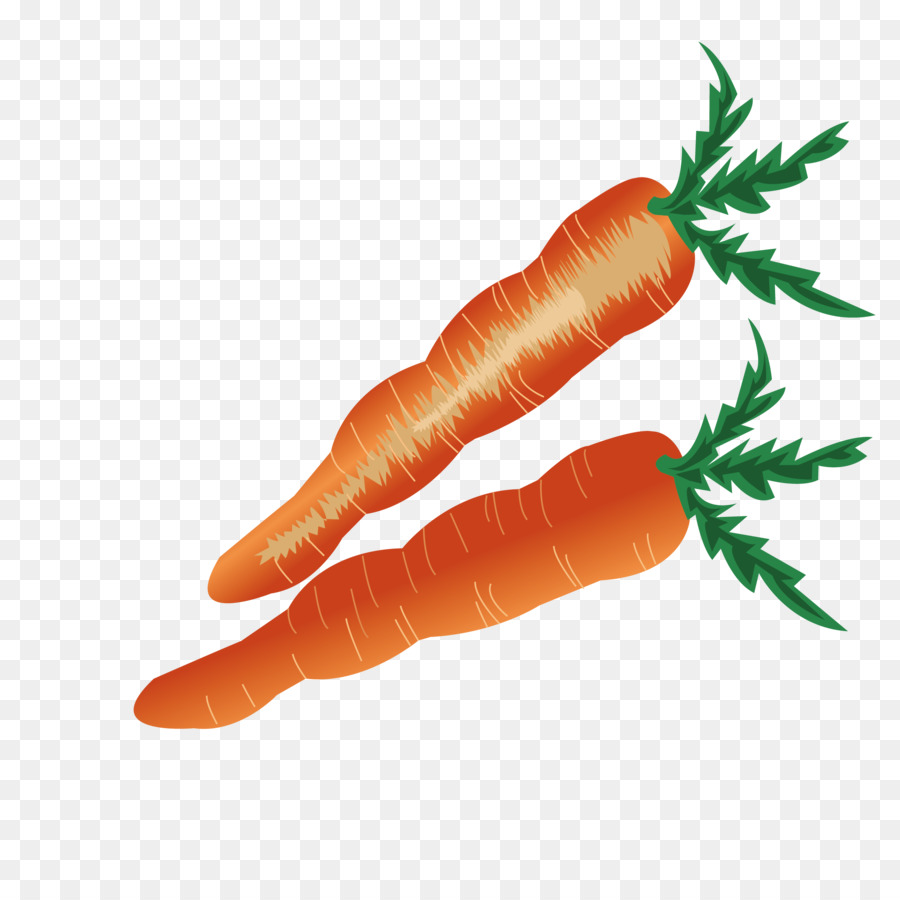 Baby-Karotten-Gemüse - Frische Karotte