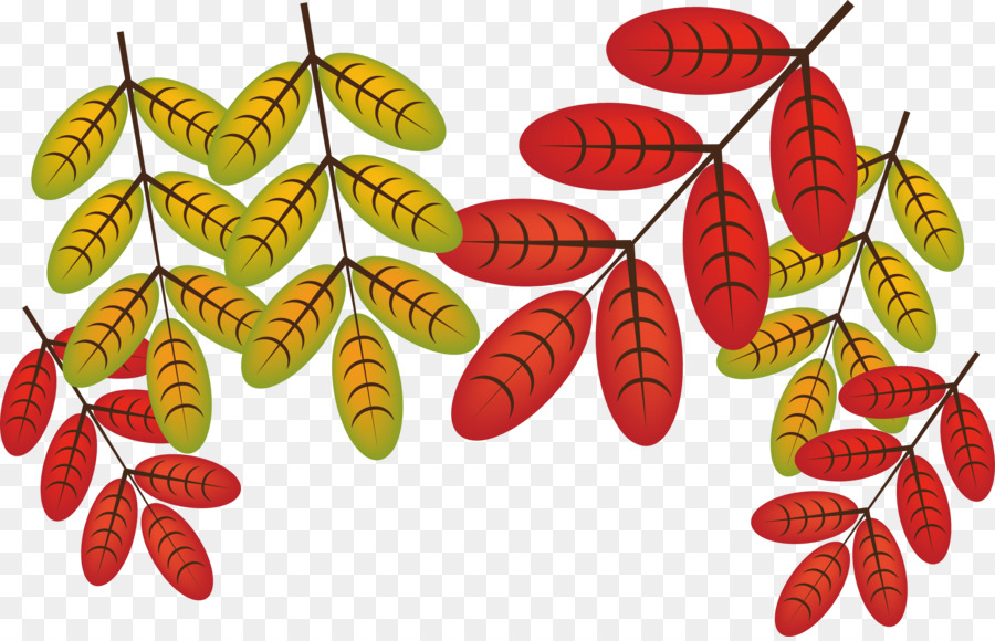 Herbst Blätter Blatt Laub - Rote Blätter im Herbst