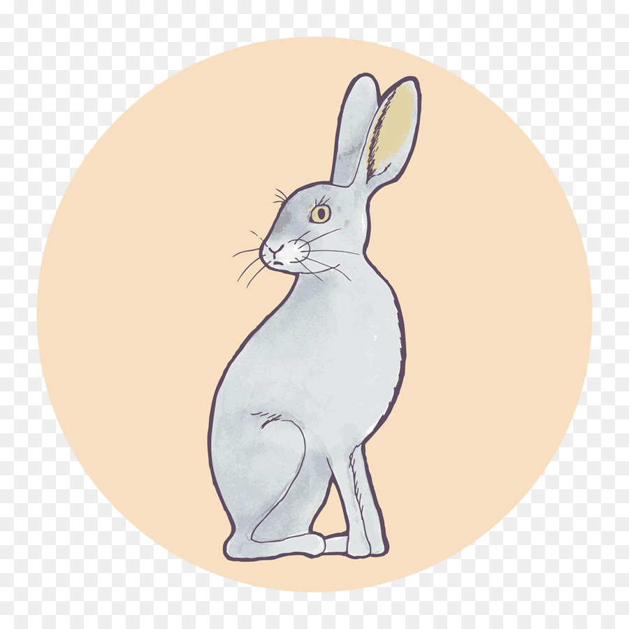 Coniglio Lepre Baffi Illustrazione - Grigio bunny modello
