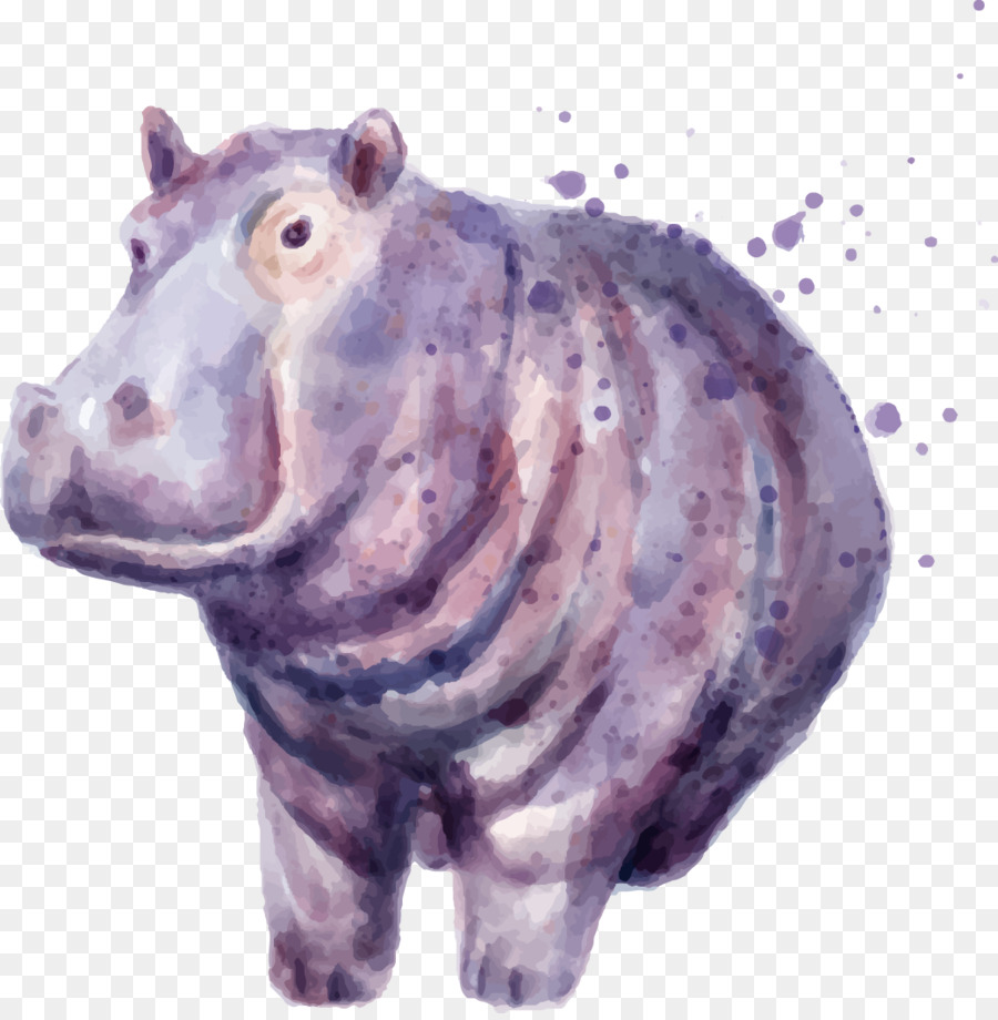 Con hà mã Vẽ bức tranh - Véc tơ tay sơn màu nước minh họa Hippo