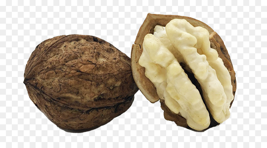 Anh walnut Vỏ - Quả óc với da