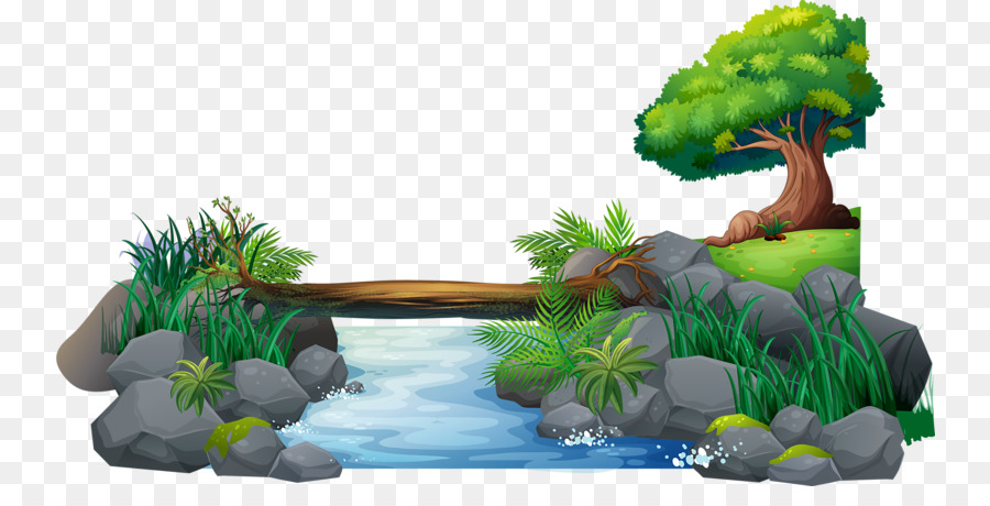 Pond Cartoon png download - 800*442 - Free Transparent Drawing png  Download. - CleanPNG / KissPNG