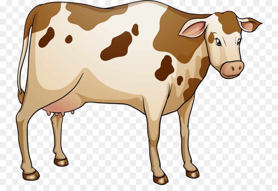 Chi tiết hơn 61 về hình tô màu con bò sữa mới nhất  trieuson5