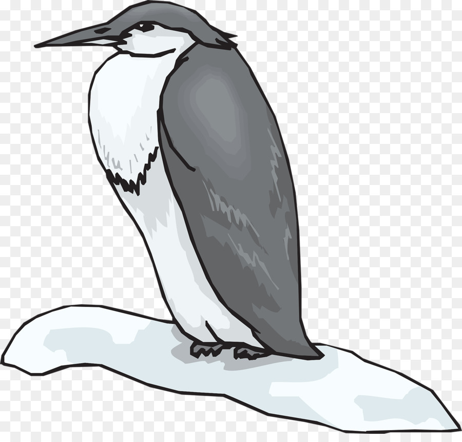 Re pinguino Uccello in bianco e Nero - Uccelli Invernali
