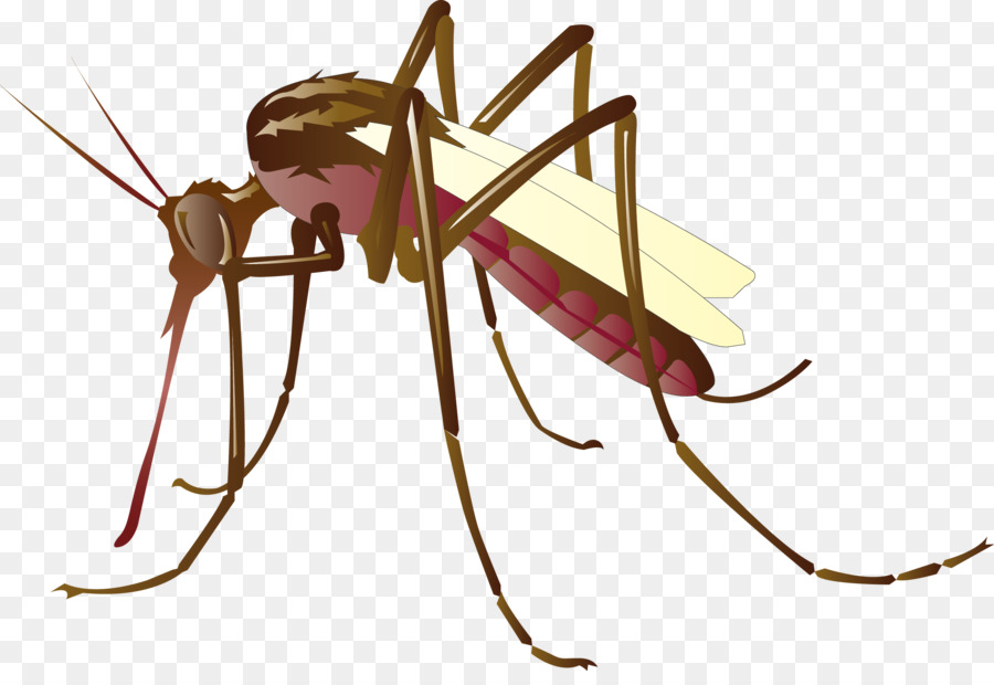 Moskito-Kontrolle, Clip-art - Vektor-Mücken