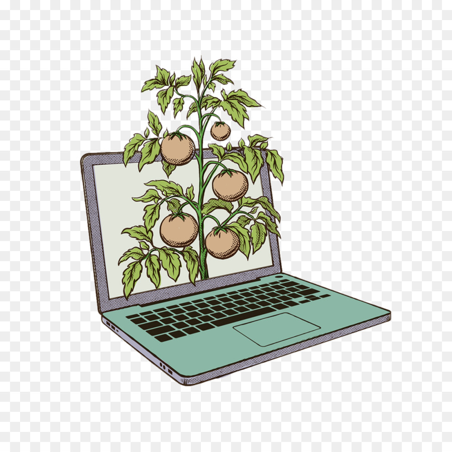 Úc Hoạ Nghệ Thuật Hoạ - Phát triển cây ăn trái máy tính xách tay