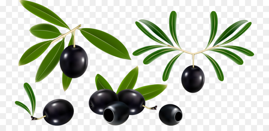 Olivenöl Olive leaf Olive branch - Black Cherry