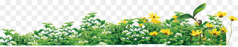 Pflanze-Umwelt-Schutz-Symbol - Schöne schöne frische grüne pflanze, die gras-Spitzen Rand