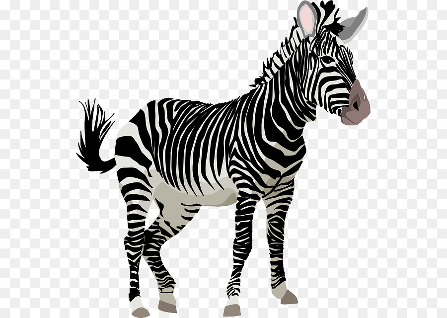 Zebra-Freie Inhalte Niedlichkeit Clip-art - Hand-painted zebra