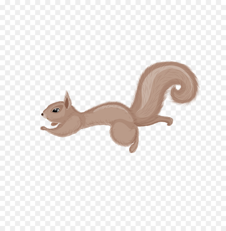 Squirrel Cartoon png download - 1500*1501 - Free Transparent Chipmunk png  Download. - CleanPNG / KissPNG