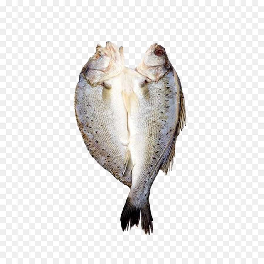 Fisch-Produkte mit Gesalzenem Fisch - Schneiden Sie in der Hälfte der Meer-bass Produkt wirklich Pläne