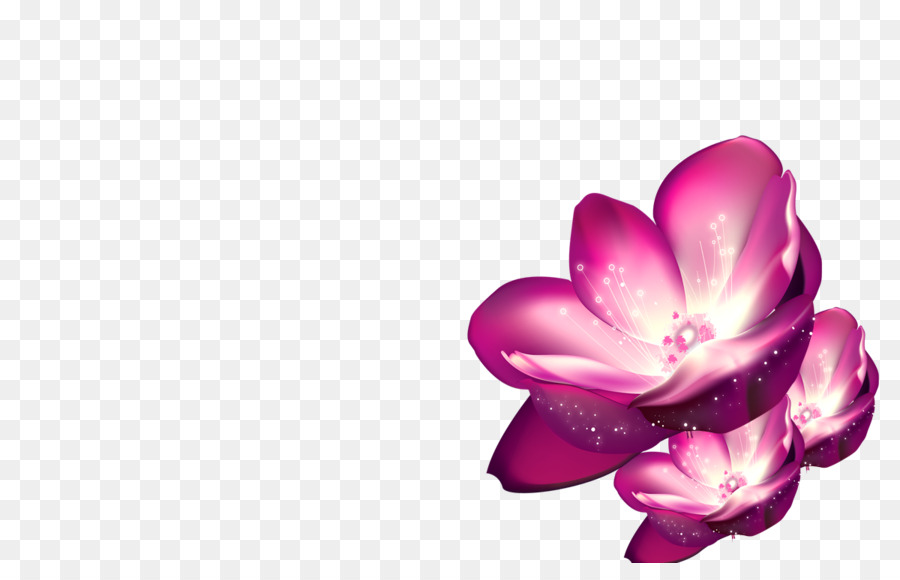 Shulin Distretto Rosa Viola Fiori Di Carta Da Parati - loto viola