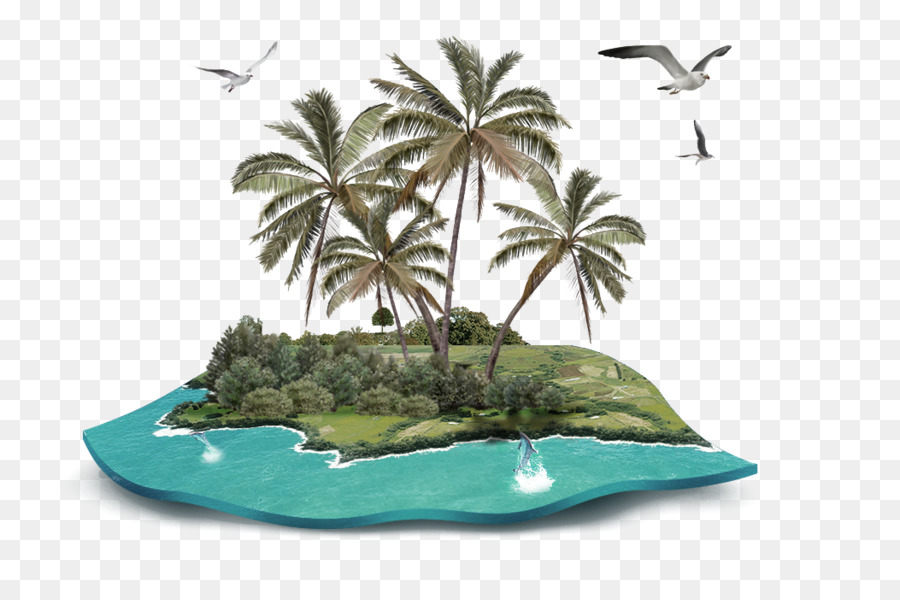 Coconut Clip-art - Grüne frische-Insel Dekoration Muster