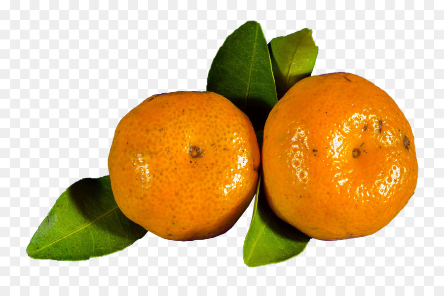 Orangensaft Clementine und Blutorange Mandarine orange - Orange Orangen