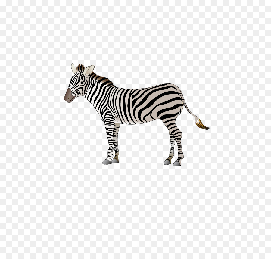 Cartoon Logo Zebra - vettore di zebra