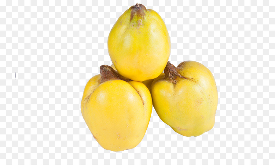 Quitte frucht Pome Fruit tree Auglis - Papaya-Frucht Bohm