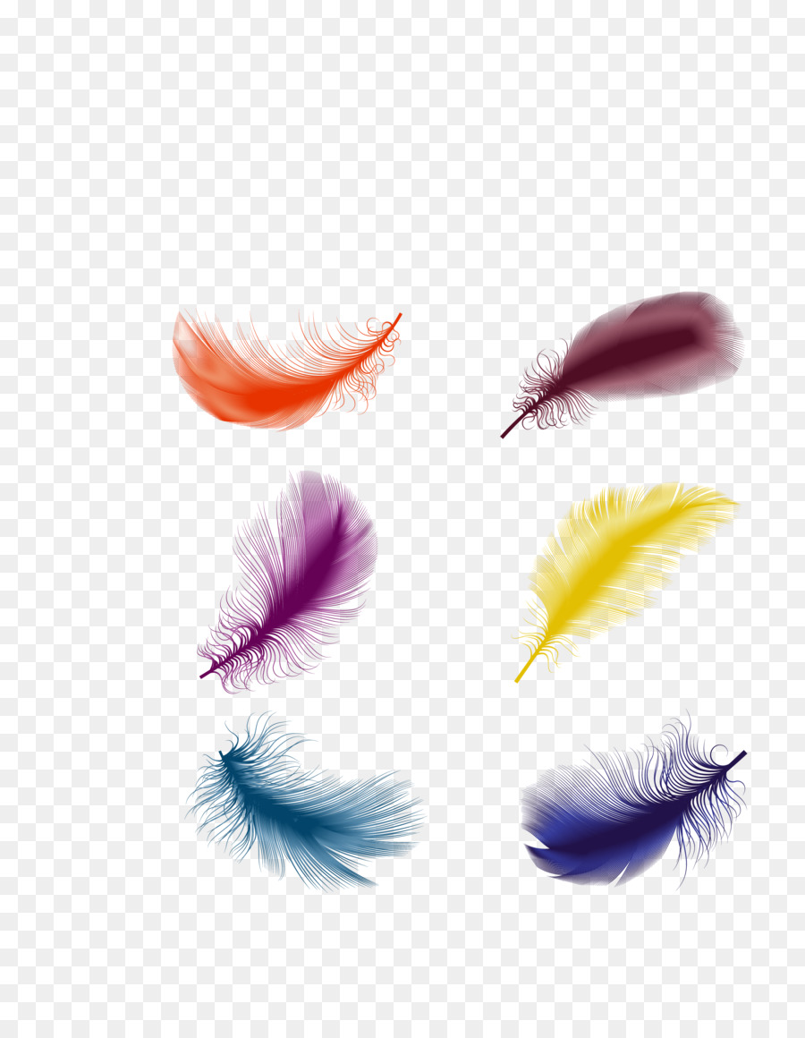 Nổi Feather - Véc tơ màu vũ trang trí