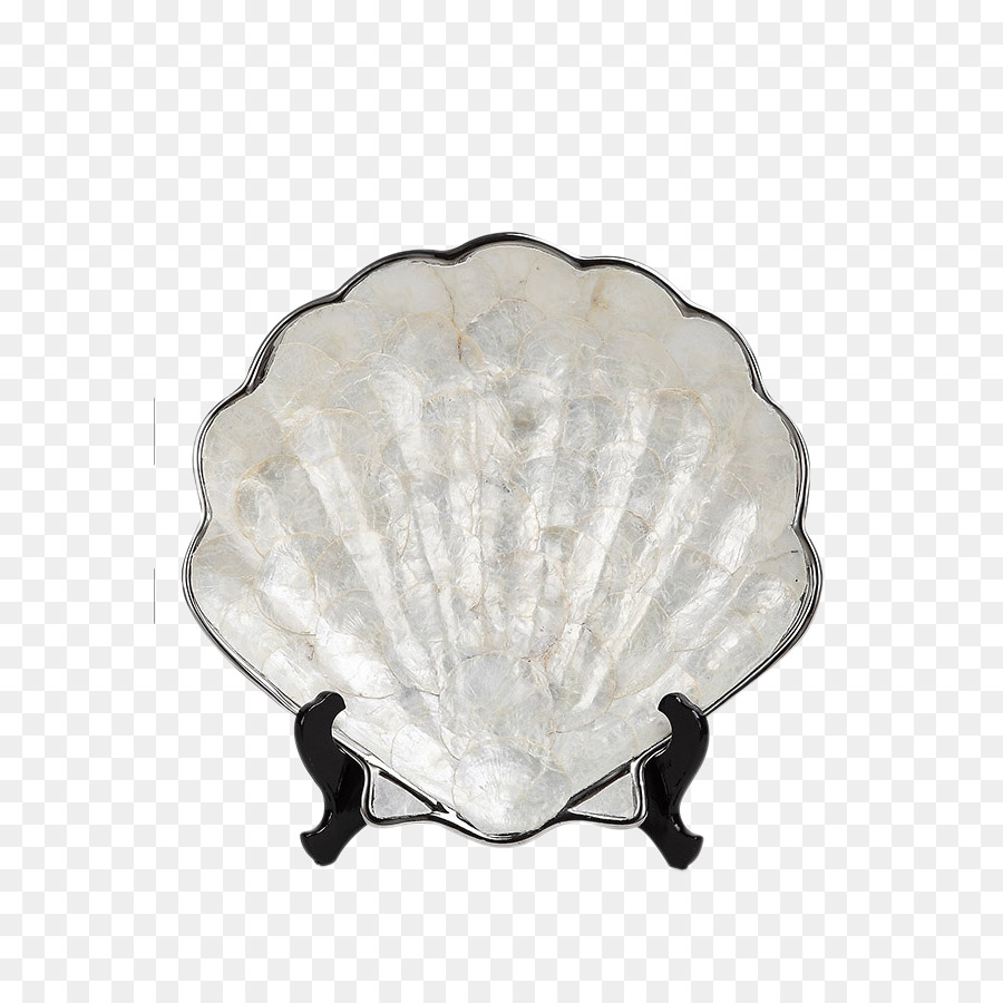 Seashell-Muschel-Eingang - shell Ornamente