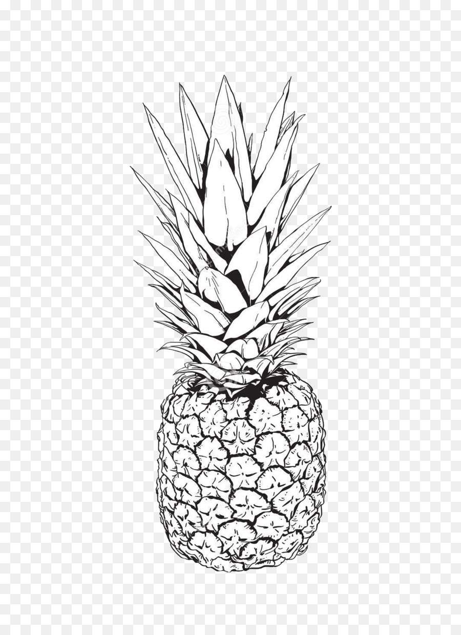 Fruit Cartoon png download - 1073*1477 - Free Transparent Pineapple png  Download. - CleanPNG / KissPNG