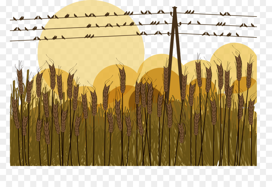 Vogel-Silhouette-Illustration - Vektor Herbst paddy