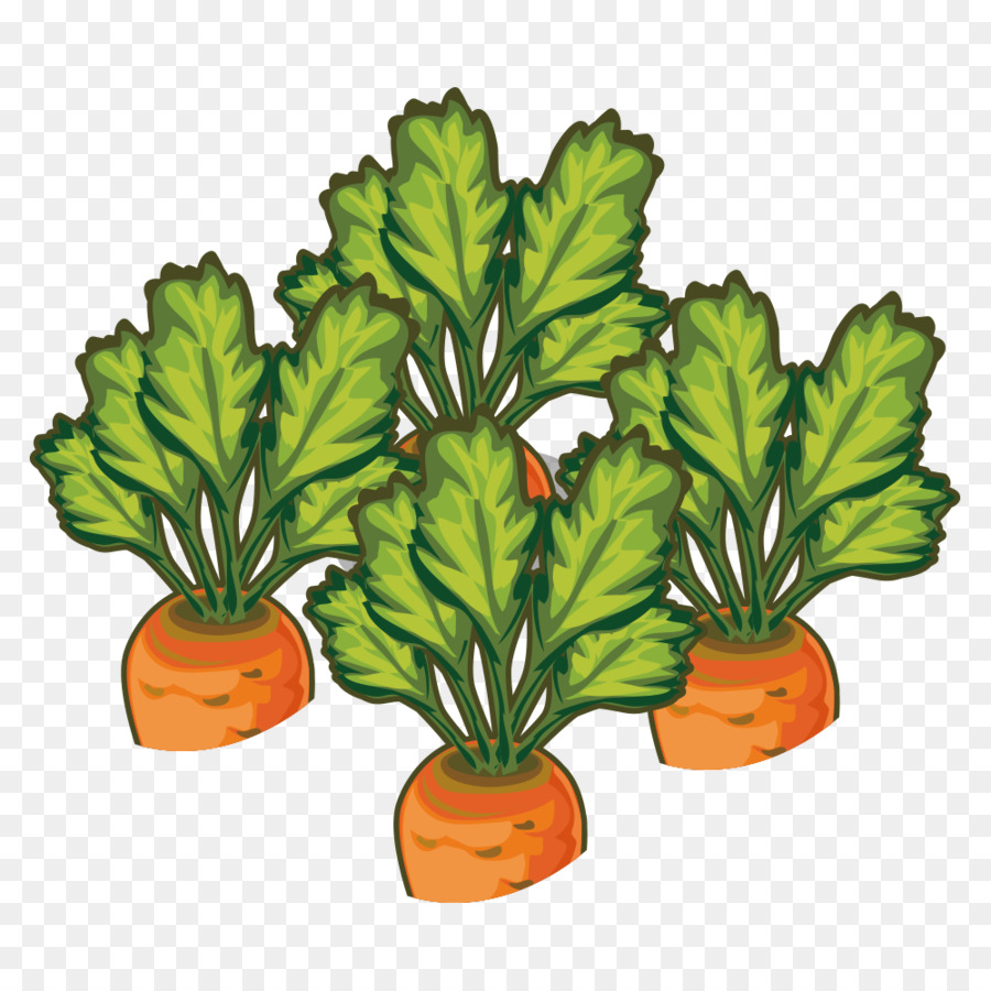 Karotte Gemüse-Illustration - Karotte