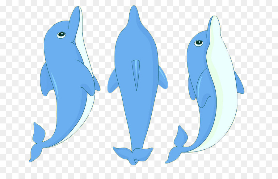 Dolphin Cartoon Clip art - Delphin,Tier,schön