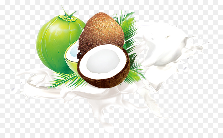Kokos-Milch-Frucht Blatt - Kokos-material