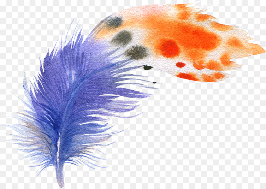 Lông chim Màu nước sơn Vẽ Hoạ - lông