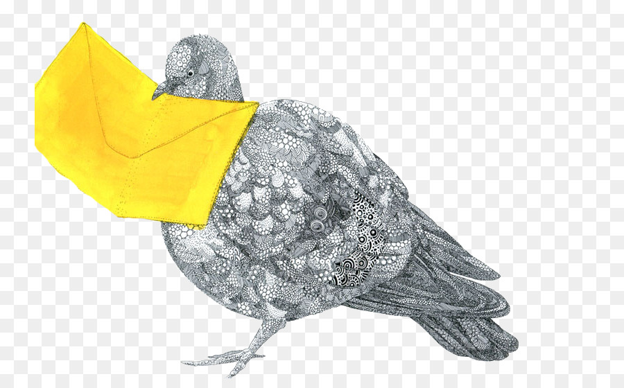 Homing pigeon Disegno Silhouette Illustrazione - Dipinto a mano piccione