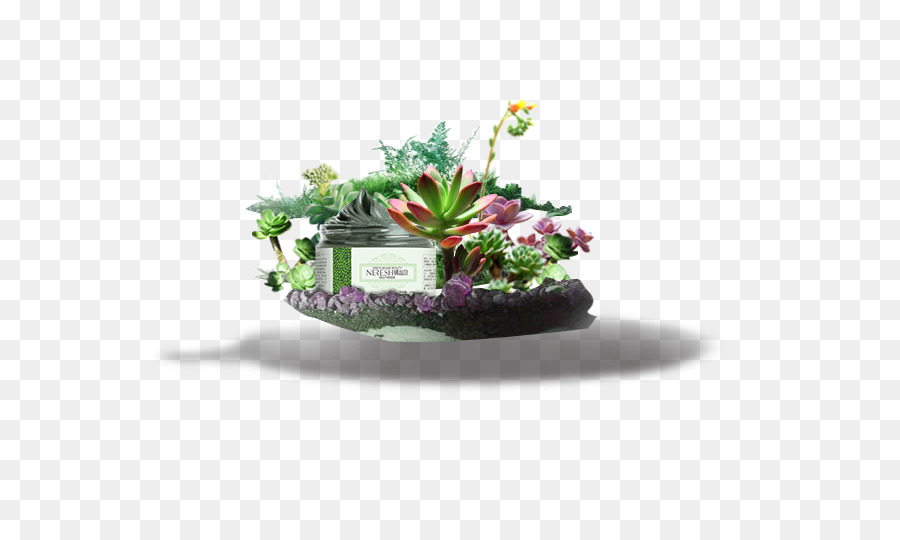 Blumentopf Zimmerpflanze Download - Anlage