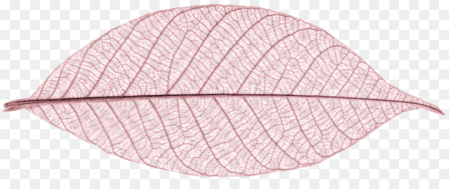 foglia - rosa foglie