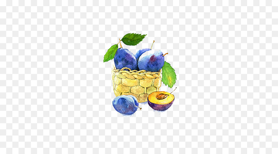 Obst Aquarell Blueberry Auglis - Blaubeer-Frucht-Körbe