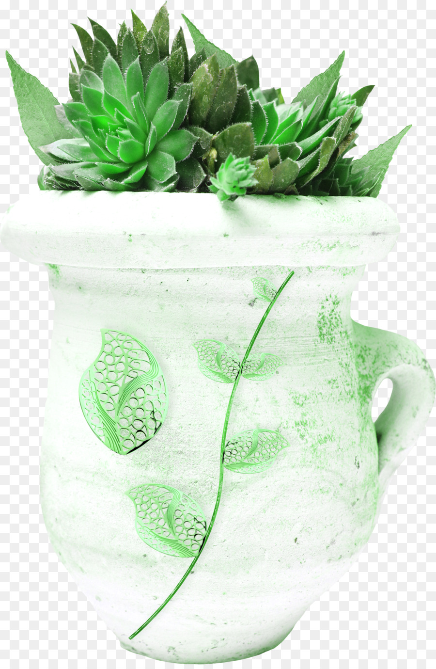 Pianta succulenta Foglia Cactaceae - Impianti di imbottigliamento